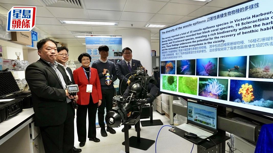 維多利亞港水下生態新發現——香港城市大學海洋污染國家重點實驗室陳荔教授團隊