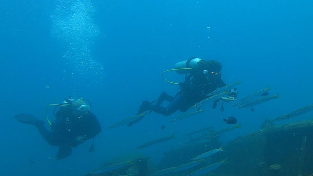 Ocean Plan 組織開展潛水導航電腦 Navygator Pro 分界洲島潛水應用體驗