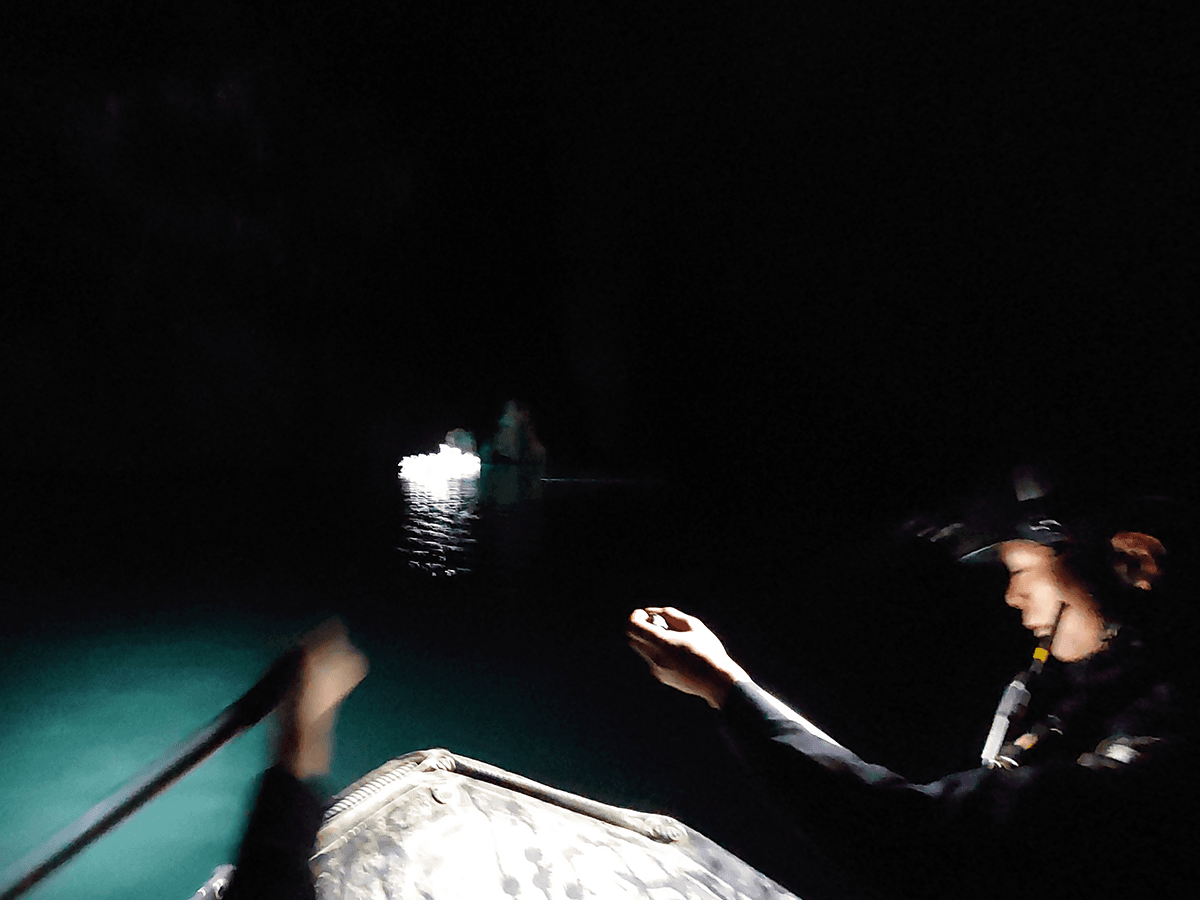 百色 田陽區(qū)