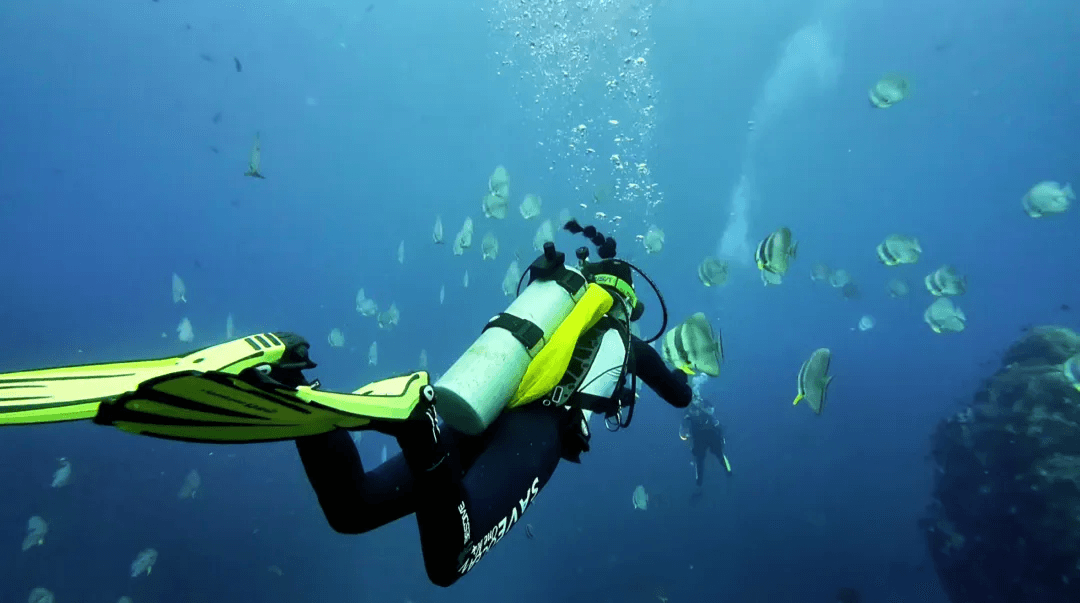 underwater_navigation_lite_2